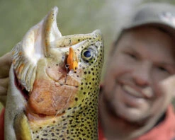 Magic Trout Hustle And Bustle Lake 2,7cm, 1,1g -Hardy Verkäufe 3501101r 3