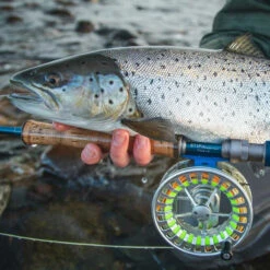 Vision Stifu Flyrod 7 Vision Stifu Flyrod -Hardy Verkäufe VFU4967r 3