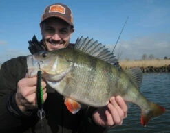 Platypus Deep Runner 10 Cm -Hardy Verkäufe WS17912r 3